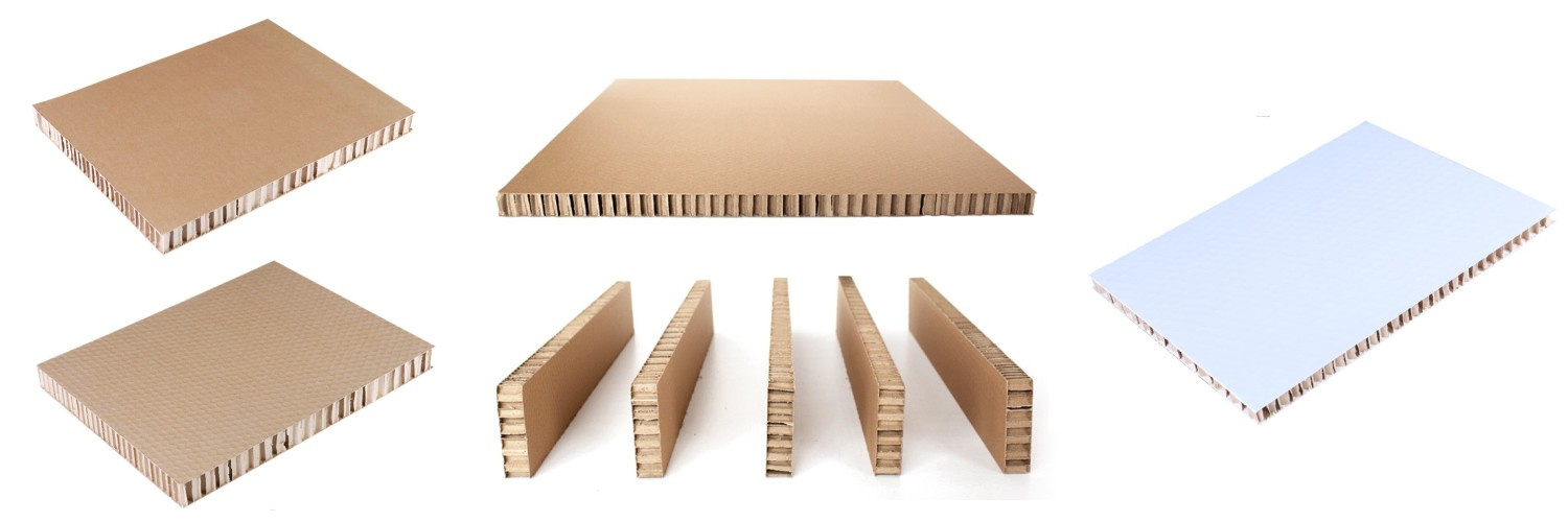 1 honeycomb cardboard