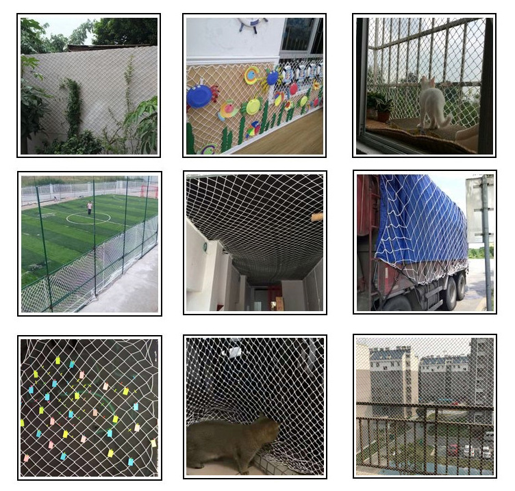 protection net application